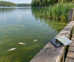how to report a fish kill